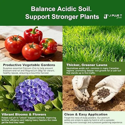 Dolomite Lime - J PLUS T Pelletized Soil Conditioner, 5LB Natural Calcium & Magnesium Amendment for Gardens