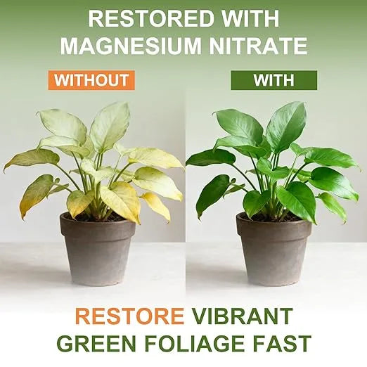 Water Soluble Fertilizer - J PLUS T Magnesium Nitrate 11-0-0, 5LB | Premium Plant Food for Lush Green Foliage