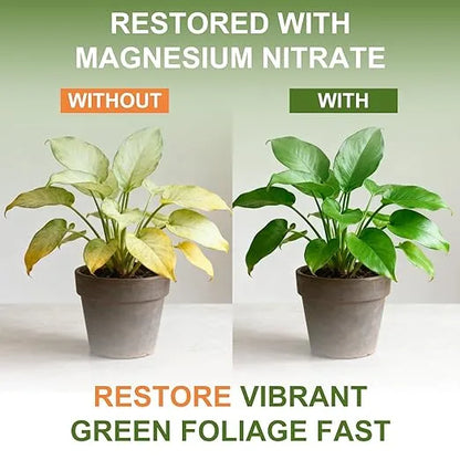 Water Soluble Fertilizer - J PLUS T Magnesium Nitrate 11-0-0, 5LB | Premium Plant Food for Lush Green Foliage