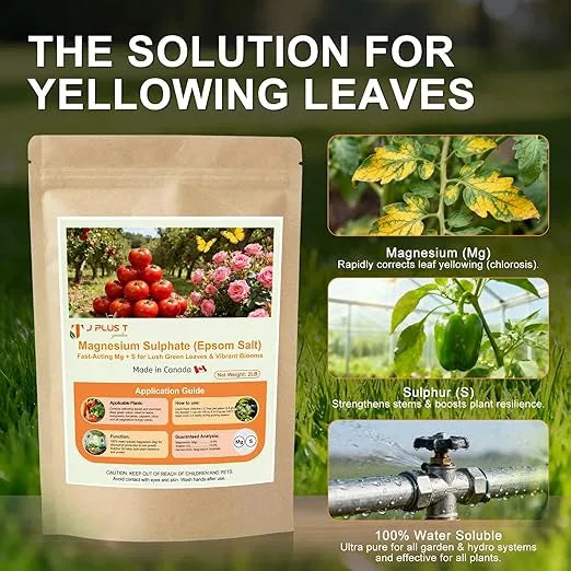Soil Amendments - J PLUS T Magnesium Sulphate Epsom Salt, 5LB | Essential Plant Food for Green Foliage