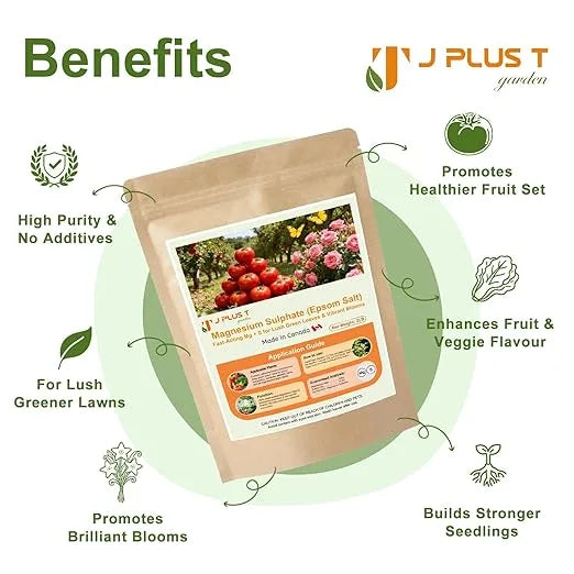 Soil Amendments - J PLUS T Magnesium Sulphate Epsom Salt, 5LB | Essential Plant Food for Green Foliage