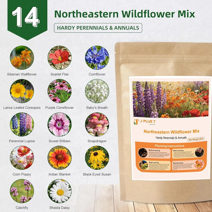 Wildflower Seed Mix - J PLUS T Northeastern Blend, 130g | Climate Adapted Pollinator Seeds