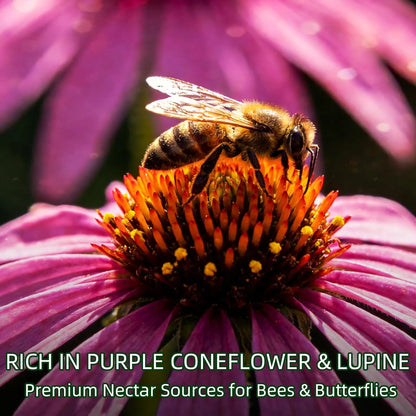Wildflower Seed Mix - J PLUS T Northeastern Blend, 130g | Climate Adapted Pollinator Seeds