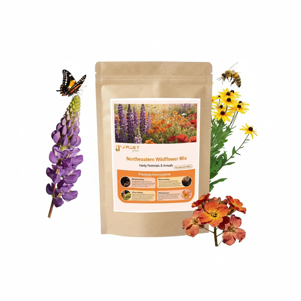 Wildflower Seed Mix - J PLUS T Northeastern Blend, 130g | Climate Adapted Pollinator Seeds
