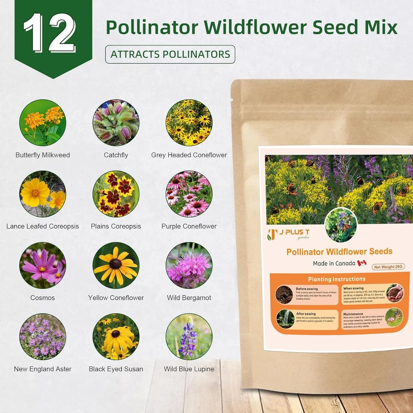 Perennial Wildflower Seeds - J PLUS T Premium Mix (10+ Varieties), 130g | Lasting Meadow Garden