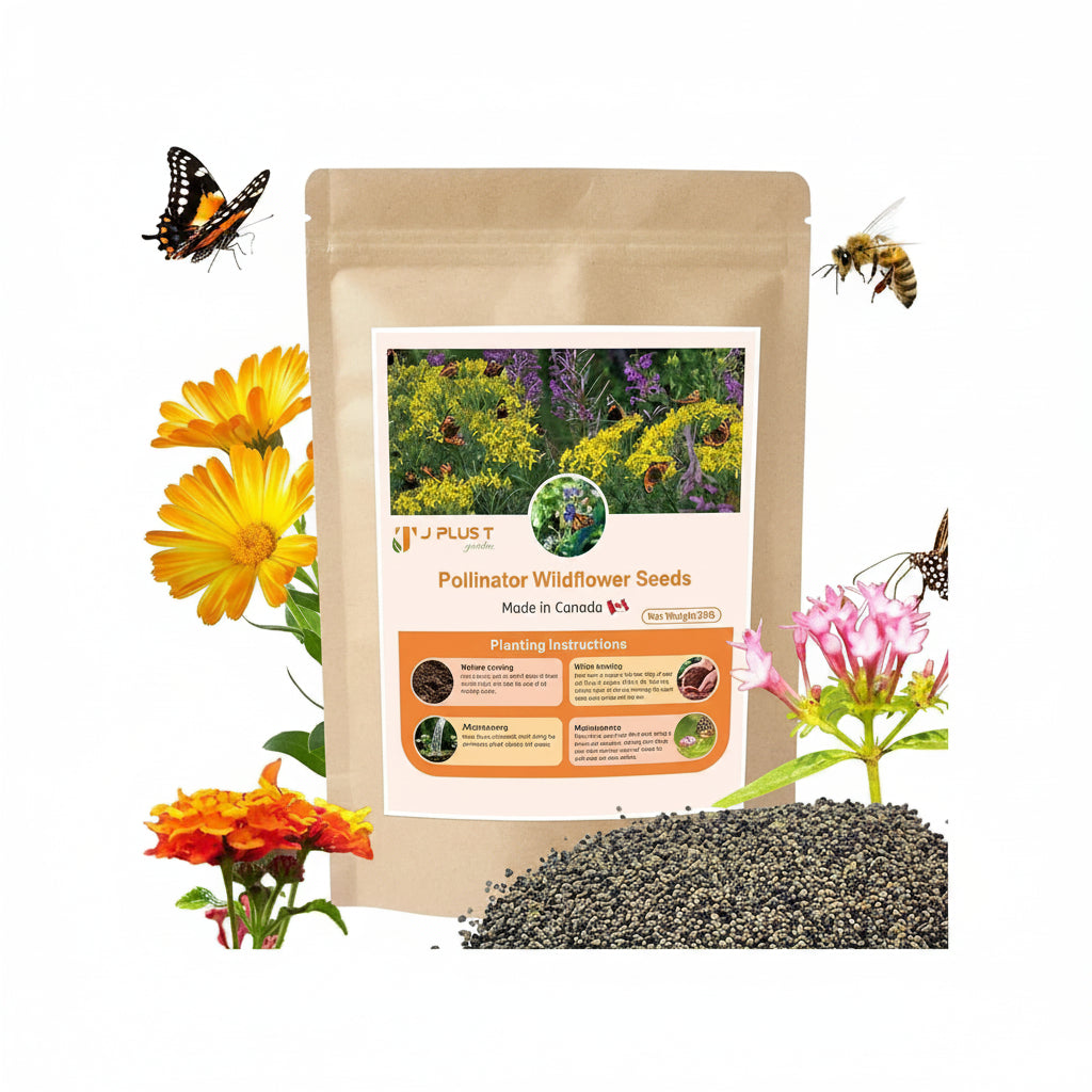 Perennial Wildflower Seeds - J PLUS T Premium Mix (10+ Varieties), 130g | Lasting Meadow Garden