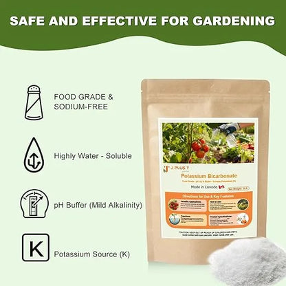 Soil conditioner - J PLUS T Potassium Bicarbonate 5LB | Organic Mildew Prevention and pH Buffer
