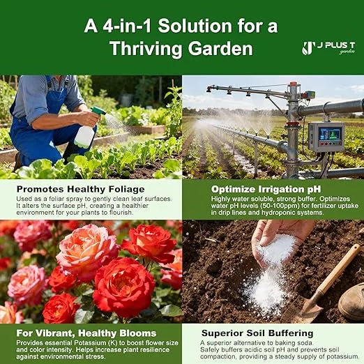 Soil conditioner - J PLUS T Potassium Bicarbonate 5LB | Organic Mildew Prevention and pH Buffer
