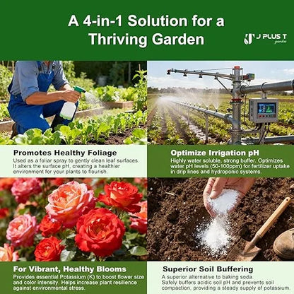 Soil conditioner - J PLUS T Potassium Bicarbonate 5LB | Organic Mildew Prevention and pH Buffer
