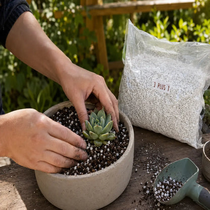 Perlite - J PLUS T Premium Coarse Soil Conditioner, 10L Essential Aeration Amendment for Indoor Plants & Succulents