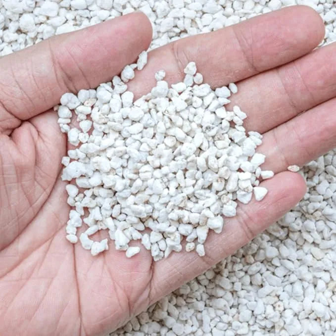 Perlite - J PLUS T Premium Coarse Soil Conditioner, 10L Essential Aeration Amendment for Indoor Plants & Succulents