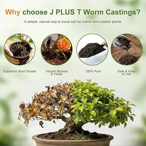 Worm Castings - J PLUS T Premium Organic Vermicompost, 5LB Natural Fertilizer for Indoor Plants & Vegetables