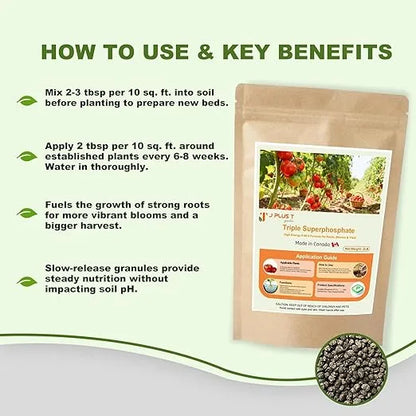 Fertilizer for Plants - J PLUS T Triple Superphosphate 0-46-0, 5LB | High Phosphorus Plant Food for Blooms