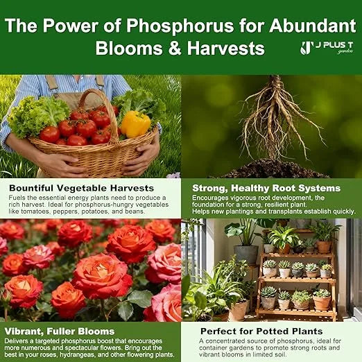 Fertilizer for Plants - J PLUS T Triple Superphosphate 0-46-0, 5LB | High Phosphorus Plant Food for Blooms