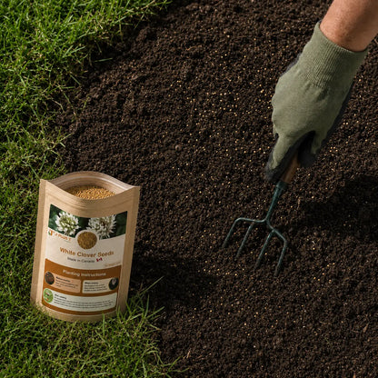 Clover Lawn Seeds - J PLUS T Premium White Clover| Nitrogen Fixing Ground Cover & Turf Alternative