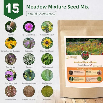 Meadow Seeds - J PLUS T Wildflower & Grass Mixture, 130g | Authentic Natural Habitat Blend