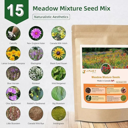Meadow Seeds - J PLUS T Wildflower & Grass Mixture, 130g | Authentic Natural Habitat Blend