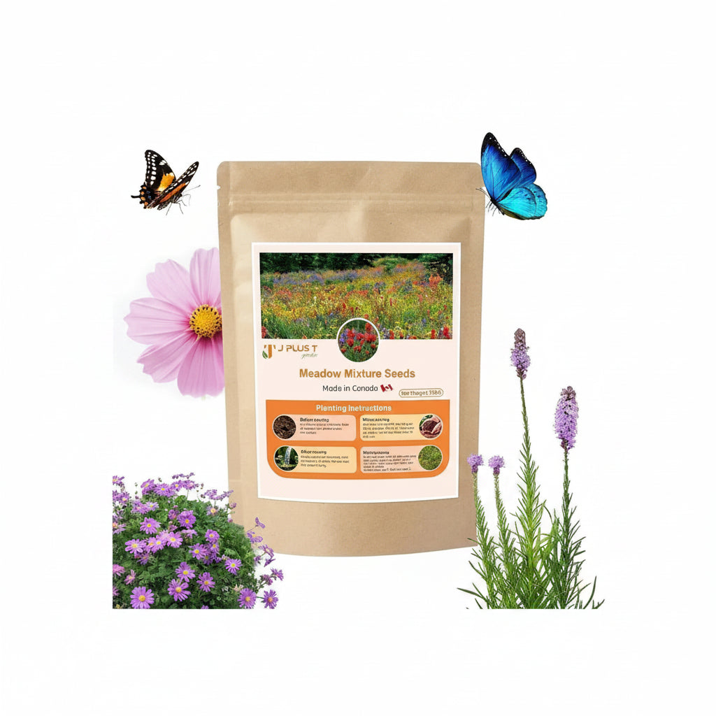 Meadow Seeds - J PLUS T Wildflower & Grass Mixture, 130g | Authentic Natural Habitat Blend