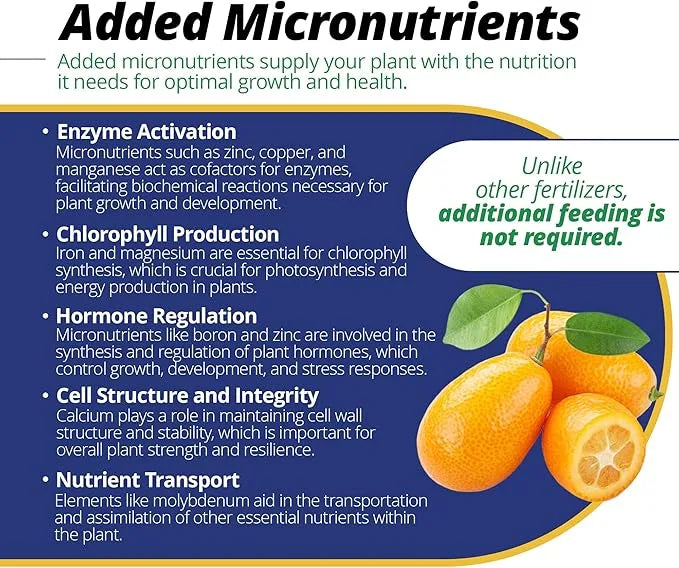 Plant Food - Jack's Classic Citrus Fertilizer 20-10-20, 1.5lb | Premium Nutrient Blend for Citrus Trees