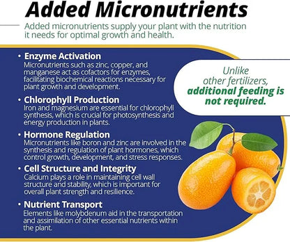 Plant Food - Jack's Classic Citrus Fertilizer 20-10-20, 1.5lb | Premium Nutrient Blend for Citrus Trees