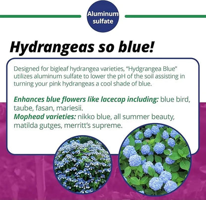 Fertilizer for Plants - Jack's Classic Hydrangea 7-3-3, 1.5lb | Acidic Plant Food for Blue Blooms