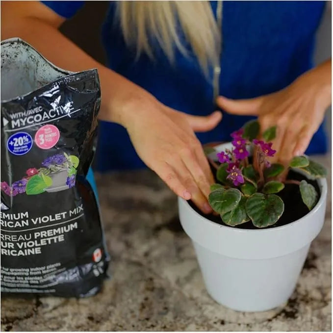 African Violet Soil - Pro-Mix Premium Light Blend, 5L Excellent Aeration Medium for Blooming Houseplants