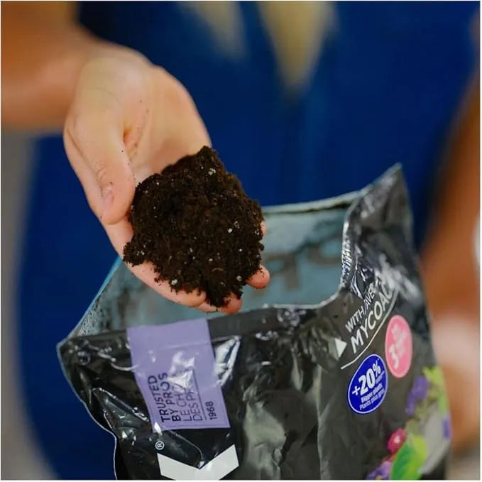 African Violet Soil - Pro-Mix Premium Light Blend, 5L Excellent Aeration Medium for Blooming Houseplants