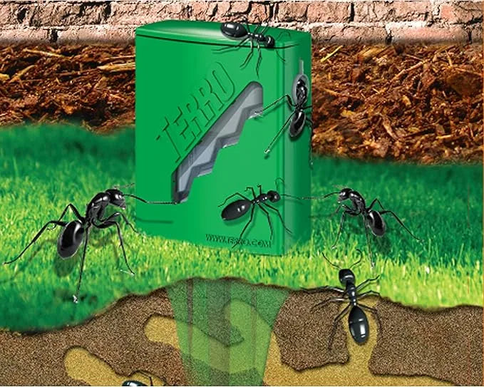 Ant Bait Stakes - TERRO Outdoor Liquid Traps | Destroy The Entire Colony & Queen