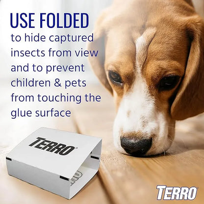 Spider & Insect Traps - TERRO Sticky Boards, 12 Pack (3 Boxes) | Chemical-Free Indoor Pest Control
