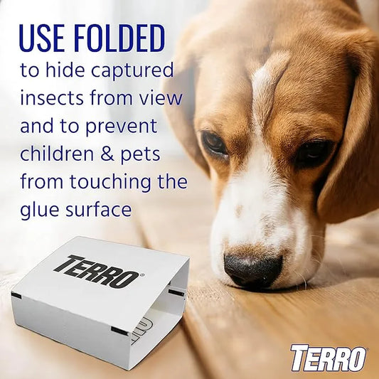 Spider & Insect Traps - TERRO Sticky Boards, 12 Pack (3 Boxes) | Chemical-Free Indoor Pest Control